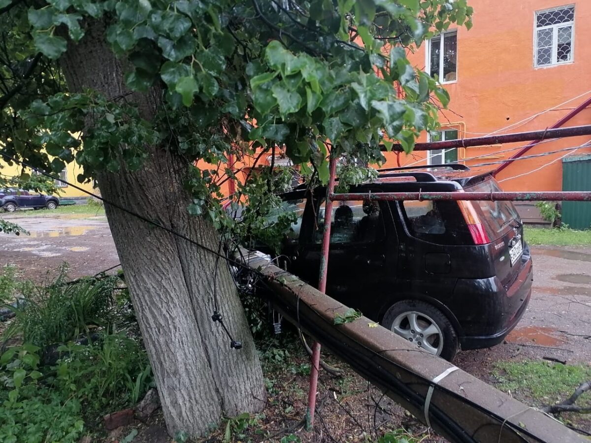 В Тверской области дерево упало на столб, а он на автомобиль | ТОП Тверь  новости