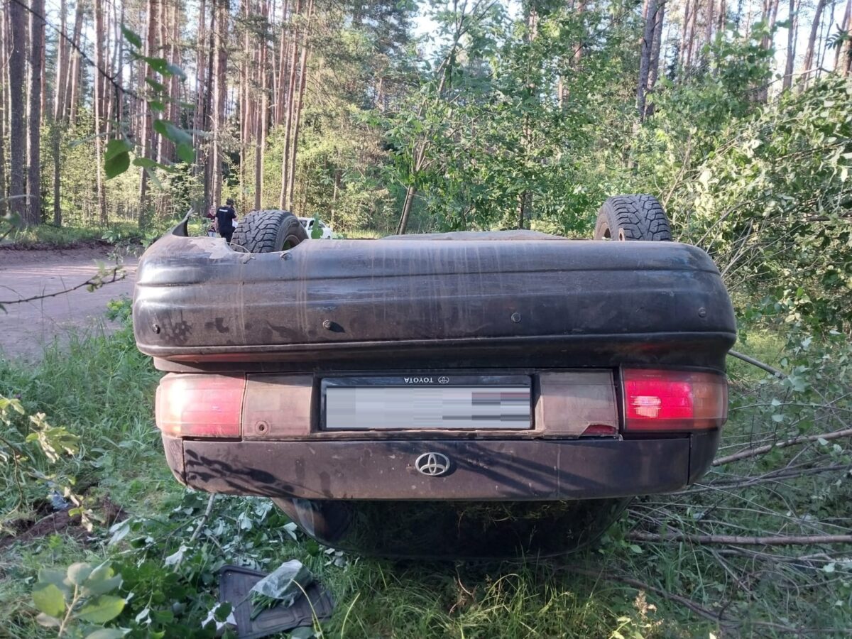 В Тверской области водитель Тойоты устроил смертельное ДТП | ТОП Тверь  новости