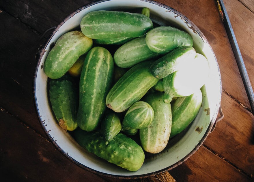 Врач назвал продукты, которые помогут организму в жару