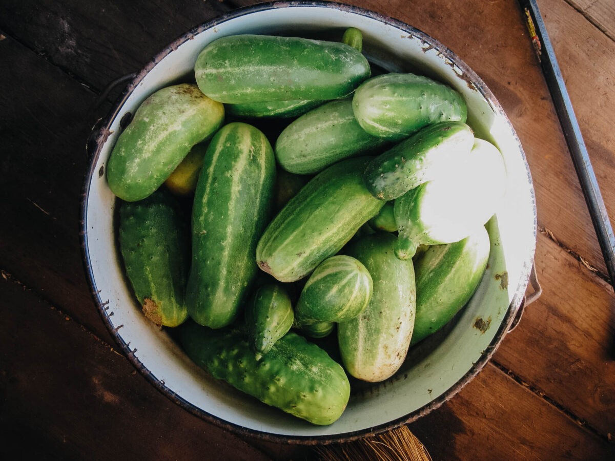 Врач назвал продукты, которые помогут организму в жару