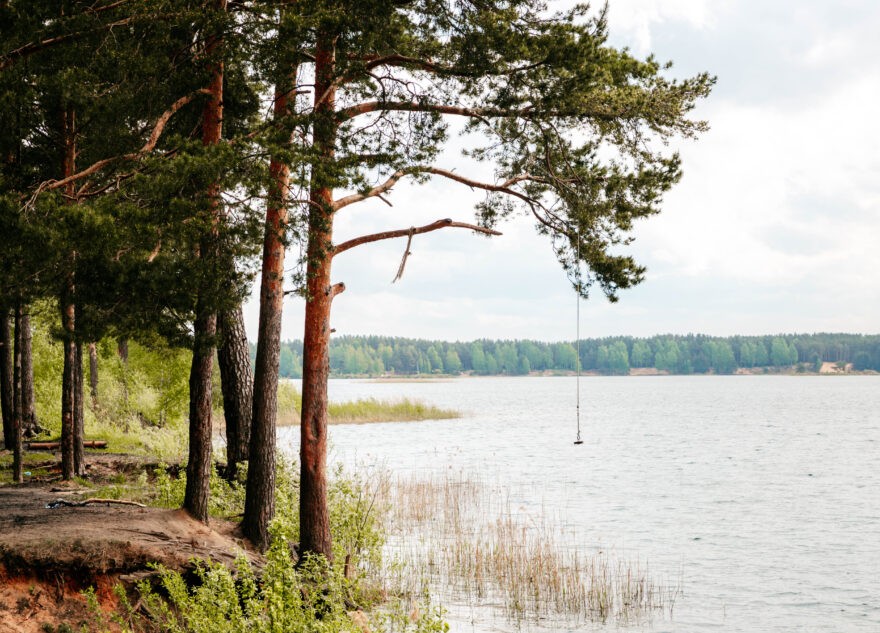 В Тверской области из озера достали тело мужчины