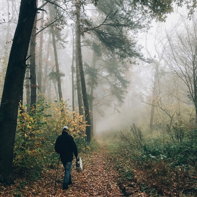 В Тверской области мужчина ушел в лес и пропал