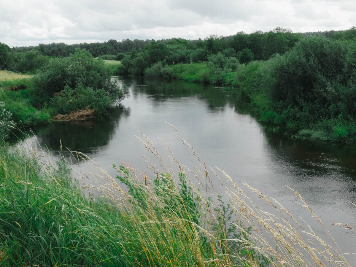 В Тверской области у берега Волги обнаружили труп