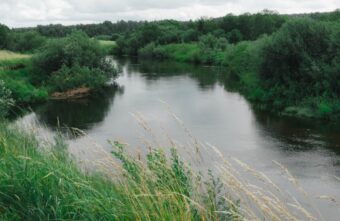 Из реки Медведица в Тверской области достали утопленницу Из реки Медведица в Тверской области достали утопленницу