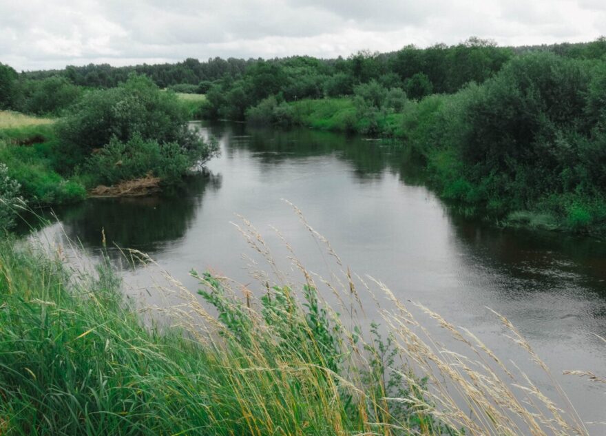 Из реки Медведица в Тверской области достали утопленницу