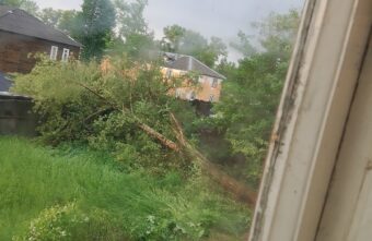 Жители Тверской области боятся, что огромные деревья рухнут на дома Жители Тверской области боятся, что огромные деревья рухнут на дома