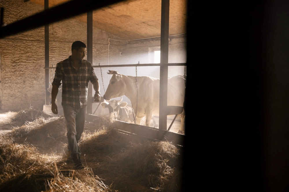 Павел Прилучный станет тверским фермером в новой кинокартине