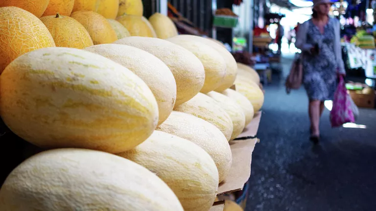 Биолог рассказал, кому категорически нельзя есть дыни