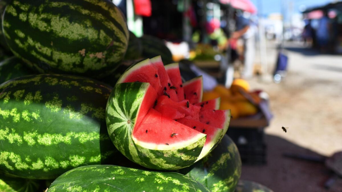 Эксперт назвала признаки арбузов с нитратами