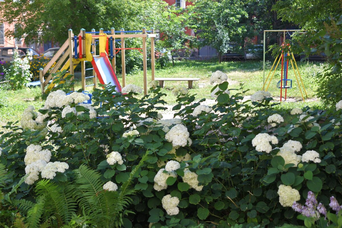 В Твери не смогли выбрать победителей фестиваля цветников