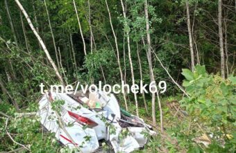 В Тверской области иномарка сломала деревья и вылетела в кювет В Тверской области иномарка сломала деревья и вылетела в кювет