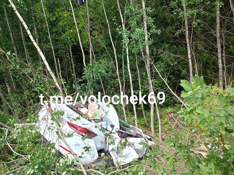 В Тверской области иномарка сломала деревья и вылетела в кювет