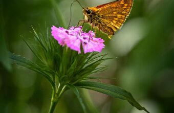 Тяжелая погода в Тверской области отступит в конце недели