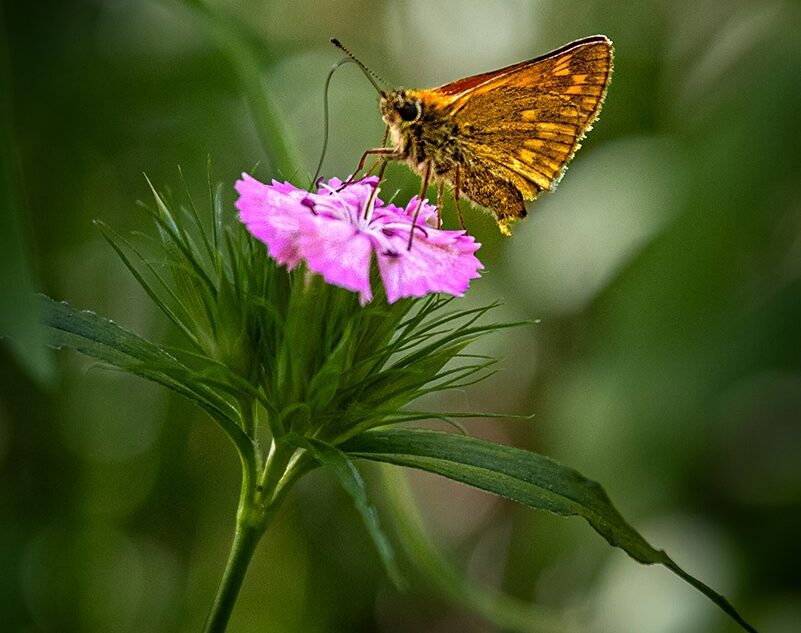 Тяжелая погода в Тверской области отступит в конце недели
