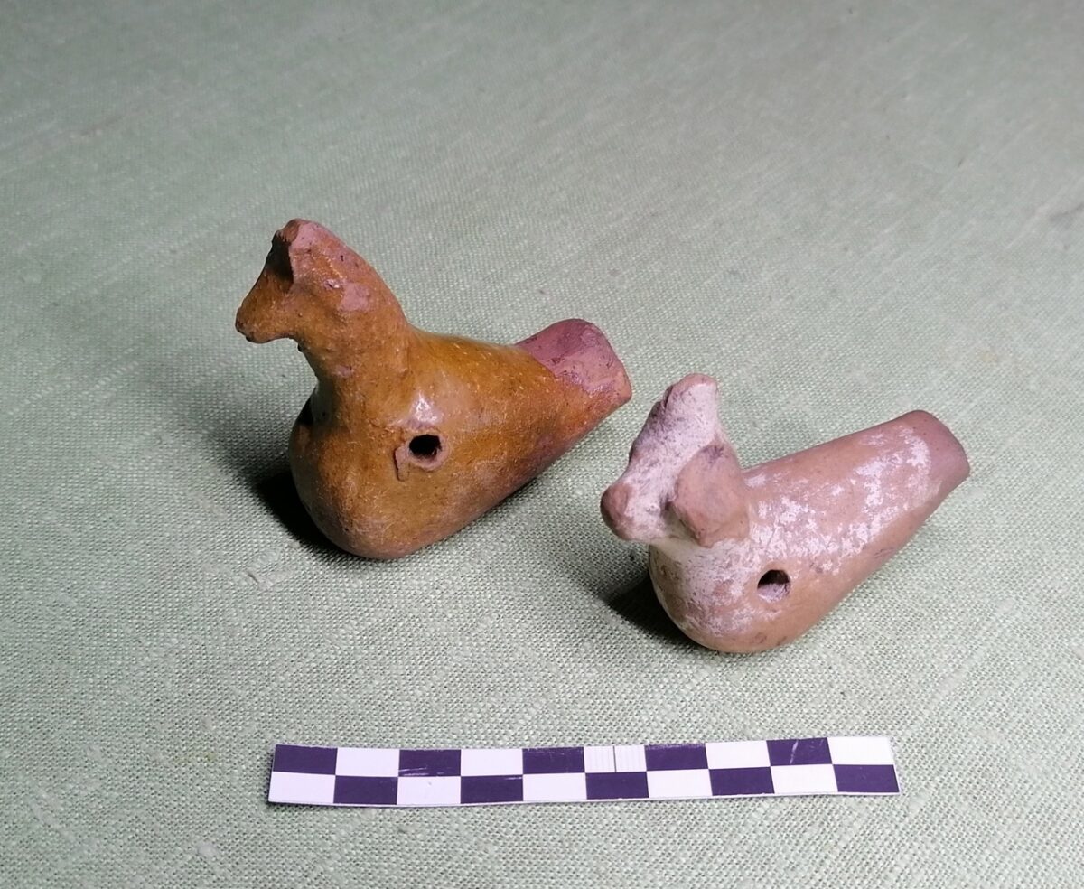 Андреапольскому музею подарили вековые «свистульки»