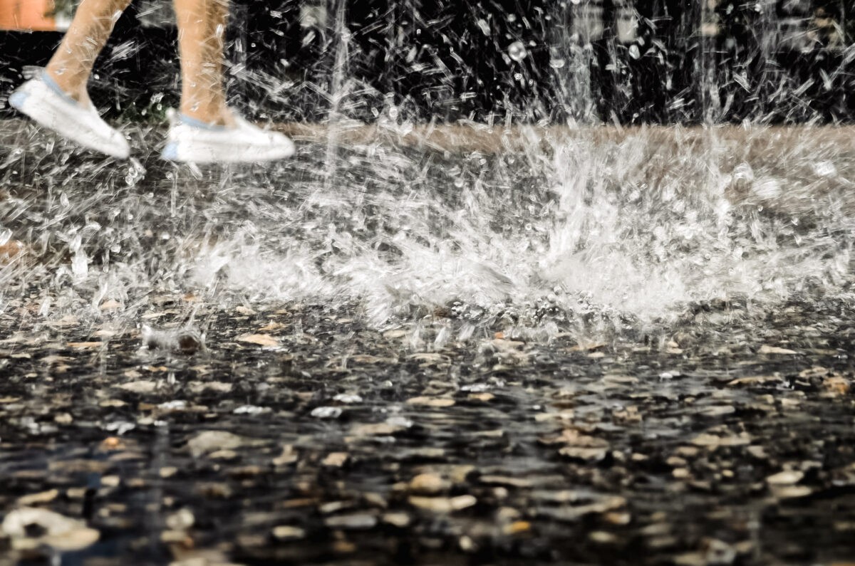 С первых дней август неприятно удивит жителей Тверской области погодой