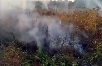 Жители Тверской области едва не сожгли весь берег реки