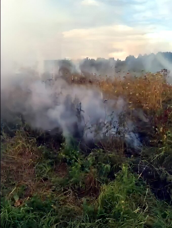 Жители Тверской области едва не сожгли весь берег реки