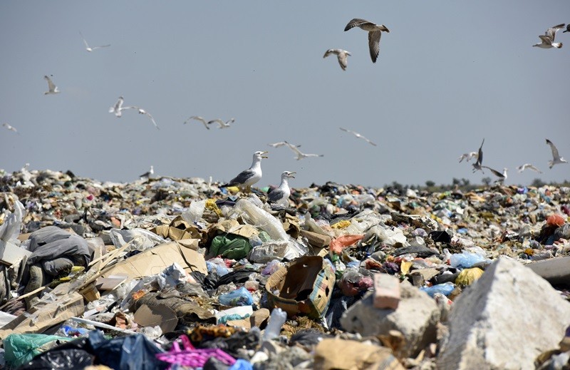 В Тверской области люди устроили в лесу свалку на множество метров