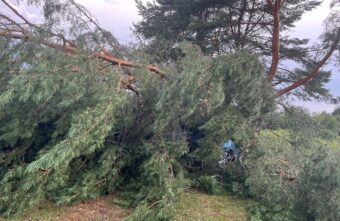 Из-за урагана в Тверской области деревья упали на машины