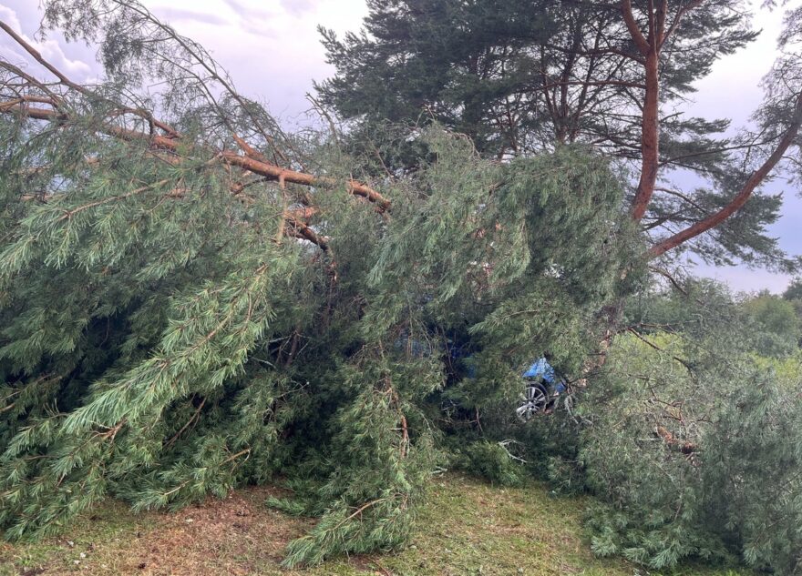 Из-за урагана в Тверской области деревья упали на машины