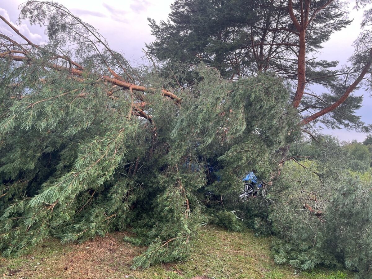 Из-за урагана в Тверской области деревья упали на машины