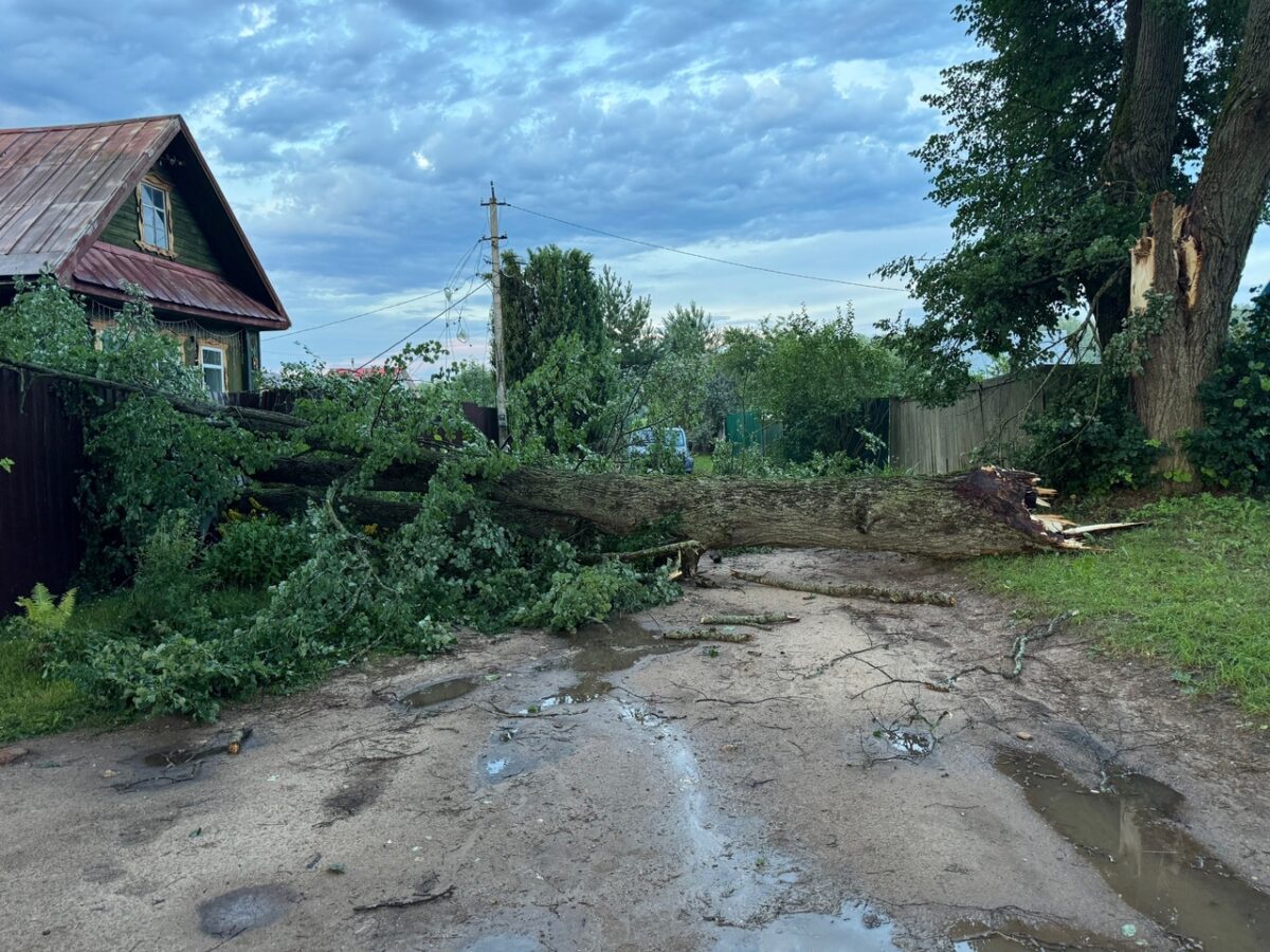 Ураган оставил жителей Ржевского округа без воды и электричества