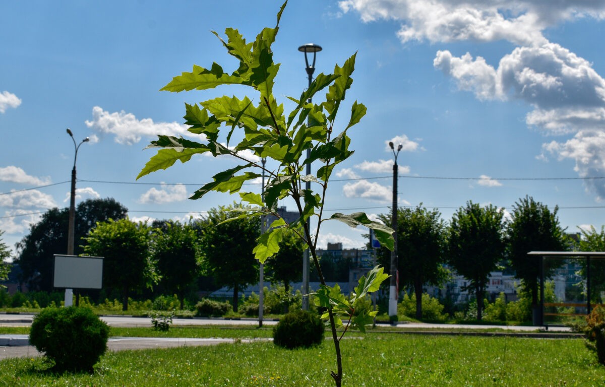 В Твери почтили память детей-жертв войны в Донбассе