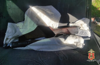 У жителя Тверской области в багажнике машины нашли лося и ружье