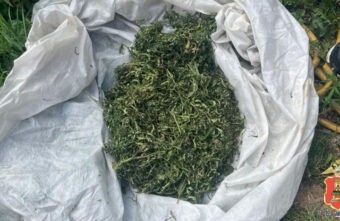 Больше 300 граммов марихуаны нашли у жителя Твери