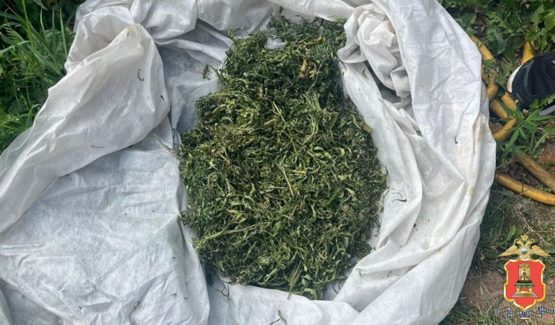 Больше 300 граммов марихуаны нашли у жителя Твери