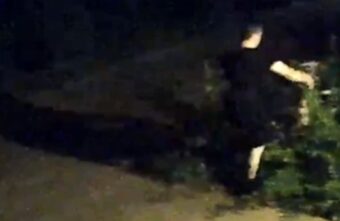 В Тверской области молодая пара оборвала цветы, посаженные старым дедушкой В Тверской области молодая пара оборвала цветы, посаженные старым дедушкой