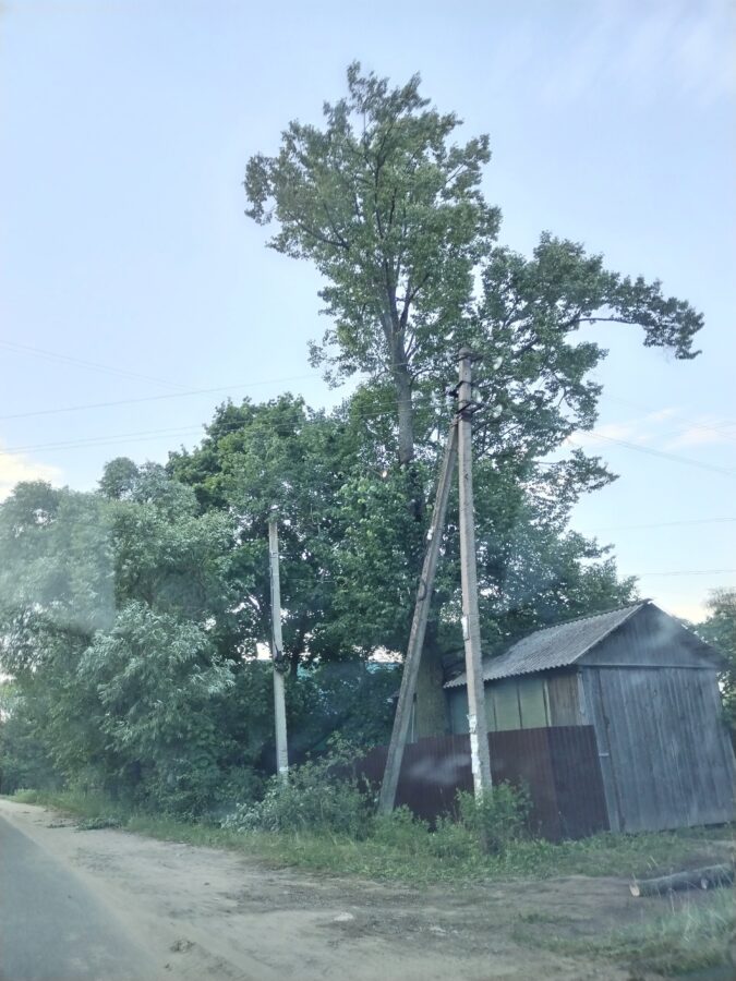 В Тверской области из-за упавшей ветки дерева замкнуло линию электропередачи