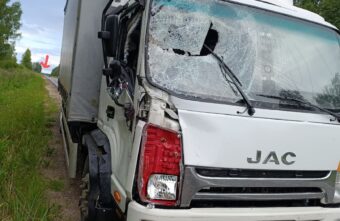 На дороге в Тверской области грузовик насмерть сбил лося На дороге в Тверской области грузовик насмерть сбил лося