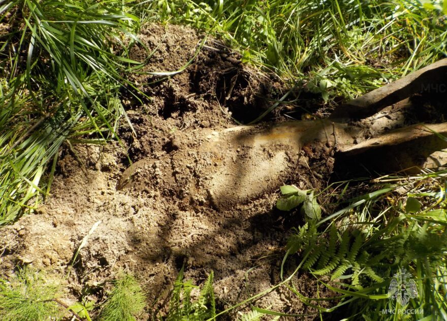 Авиационную бомбу времён войны нашли в Тверской области