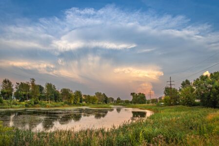 На этой неделе погода поддаст жару в Тверской области