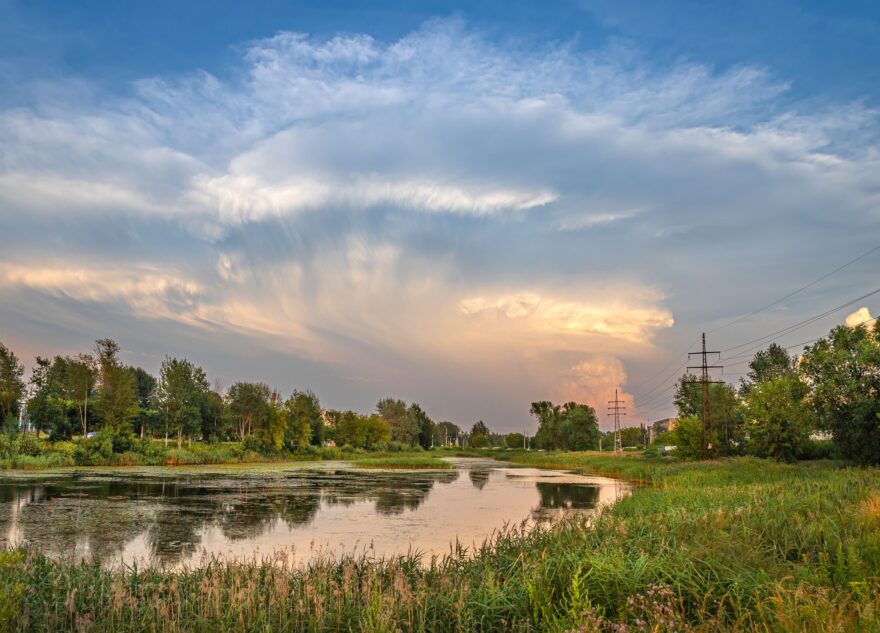 На этой неделе погода поддаст жару в Тверской области