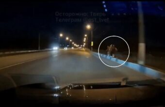 В Твери юные вандалы бросаются камнями в проезжающие машины