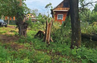 В Тверской области во время урагана на дом упало сразу три дерева В Тверской области во время урагана на дом упало сразу три дерева