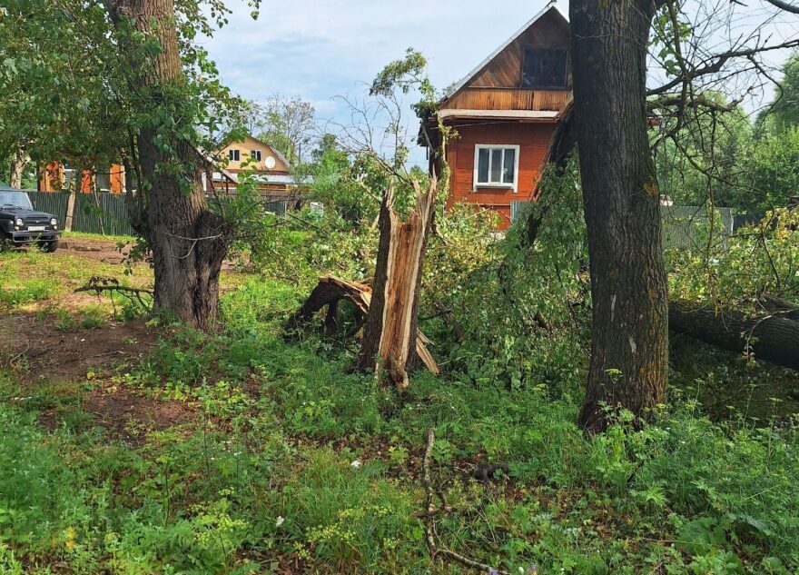 В Тверской области во время урагана на дом упало сразу три дерева В Тверской области во время урагана на дом упало сразу три дерева
