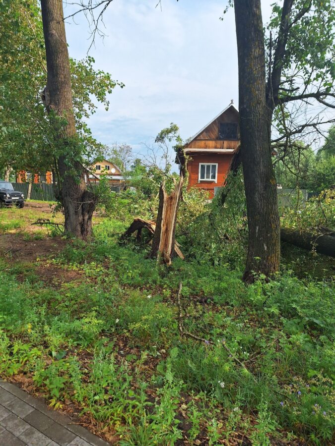 В Тверской области во время урагана на дом упало сразу три дерева