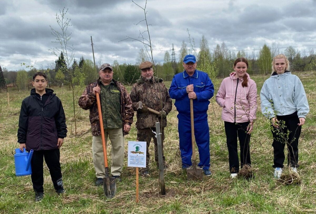 Тверская область заняла 1 место по количеству высаженных деревьев в акции «Сад памяти»