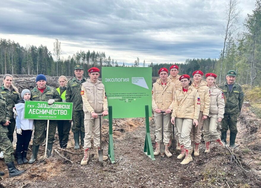 Тверская область заняла 1 место по количеству высаженных деревьев в акции «Сад памяти»
