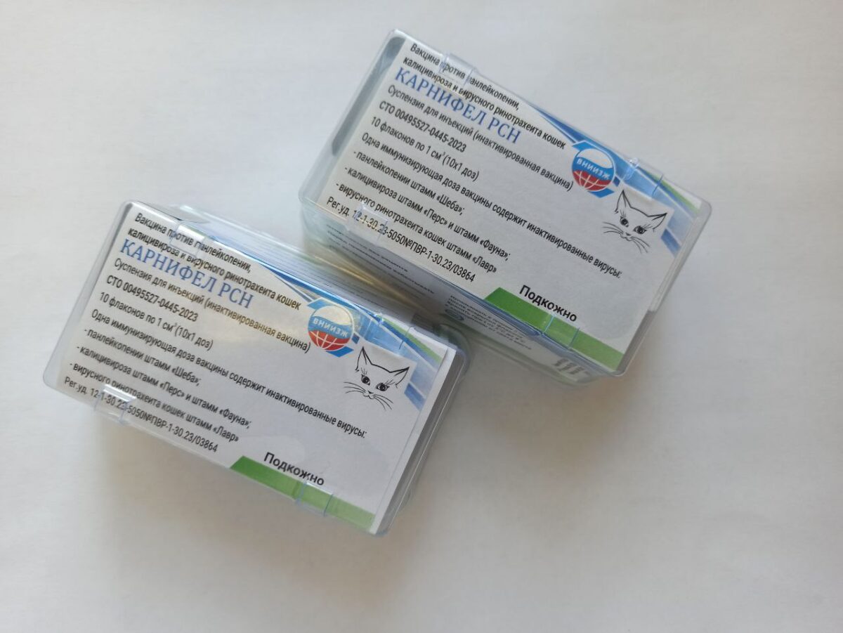 Уникальная вакцина для кошек