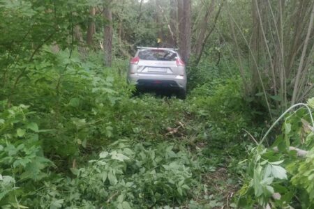 В Тверской области пьяный водитель чуть не убил 5-летнего ребенка