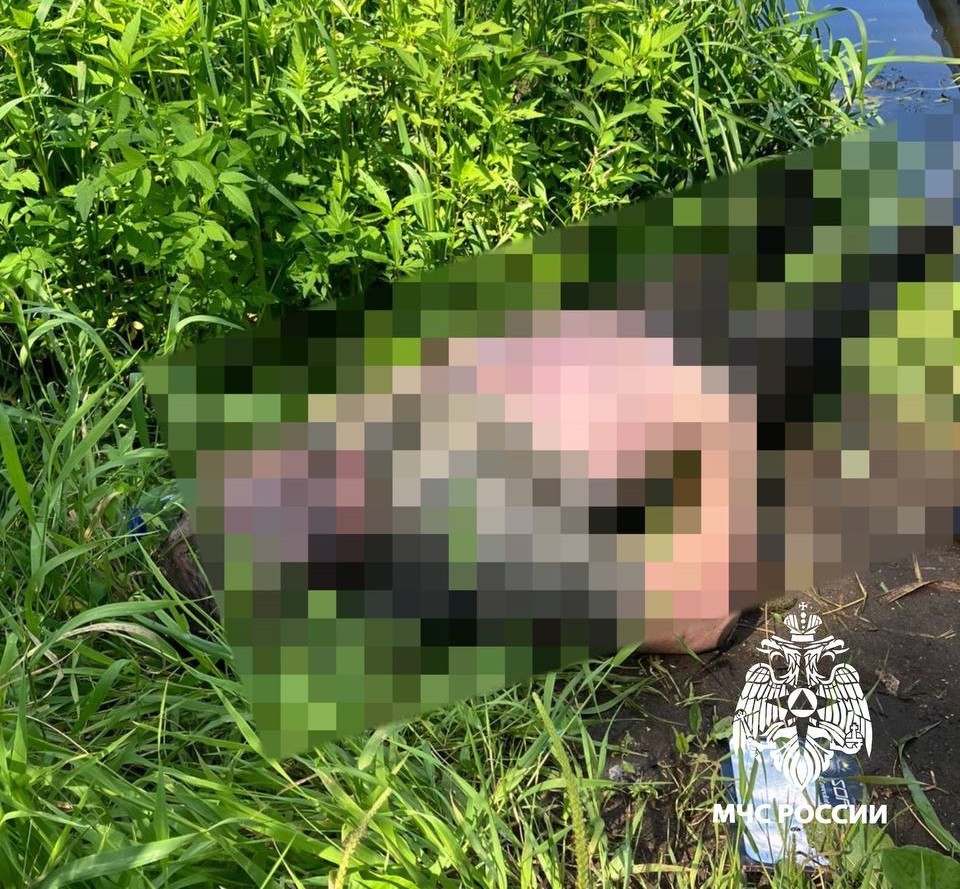Тело мужчины нашли в акватории Тьмаки в Твери Тело мужчины нашли в акватории Тьмаки в Твери
