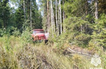 В Тверской области ликвидировали тление лесной подстилки
