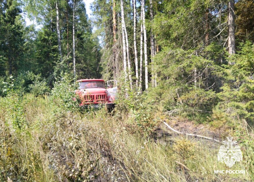 В Тверской области ликвидировали тление лесной подстилки