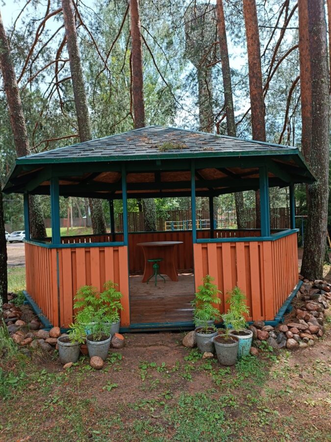 Вся деревня в Тверской области благодарна землякам за помощь во время урагана