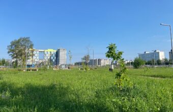 Жители Твери просят не косить траву в Южном